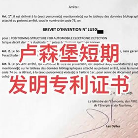卢森堡短期发明专利答复审查意见（如有）