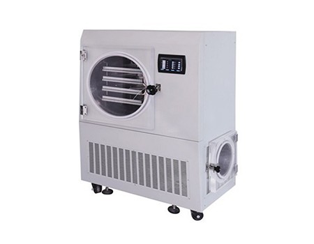 宁波新芝原位冷冻干燥机Scientz-50YG/A