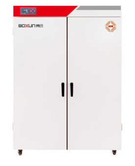 上海博迅电热鼓风干燥箱BGZ-1006