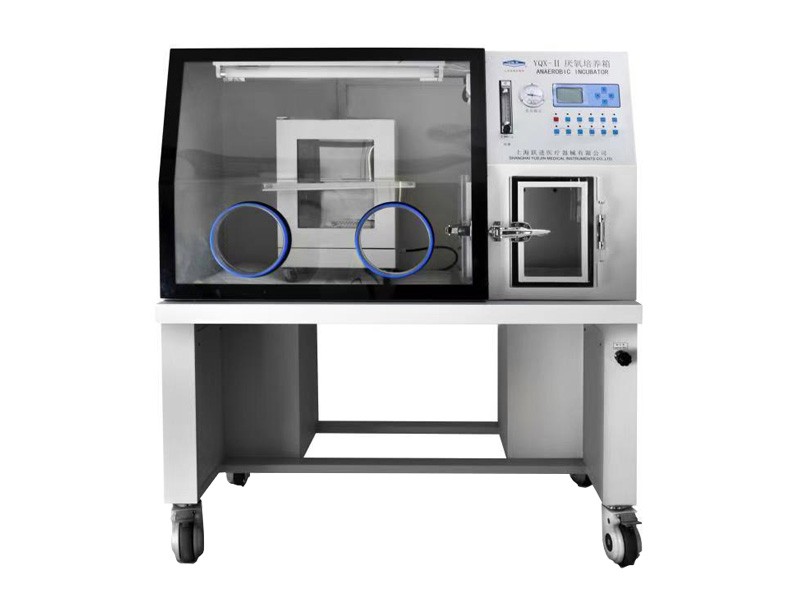 上海跃进厌氧培养箱HYQX-II-D