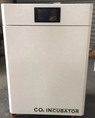 沙鹰二氧化碳培养箱HW-SW80（水套）